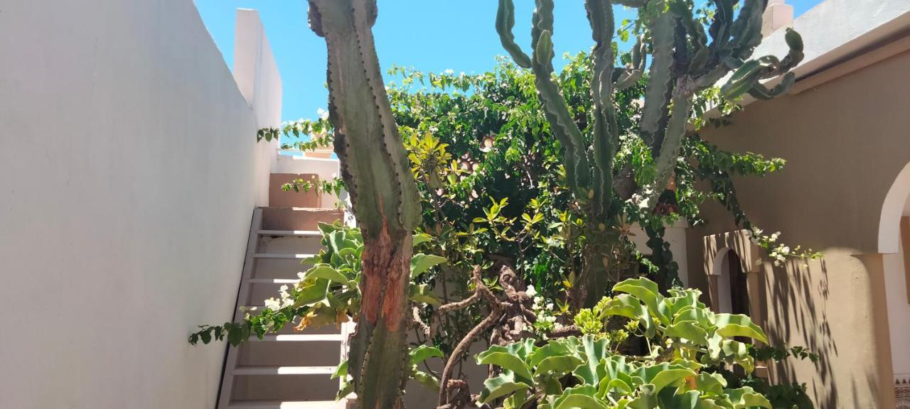 Les Etoiles Du Ksar Hotel Mirleft Bagian luar foto